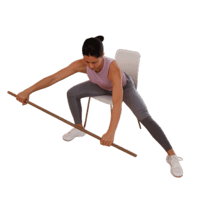 mobility, strength, qigong, taichi. skill. health, movement. classes. online courses. seated exercises. seated Qigong. sitting Qigong.